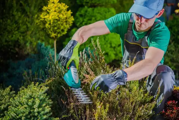 landscaping services Claycomo